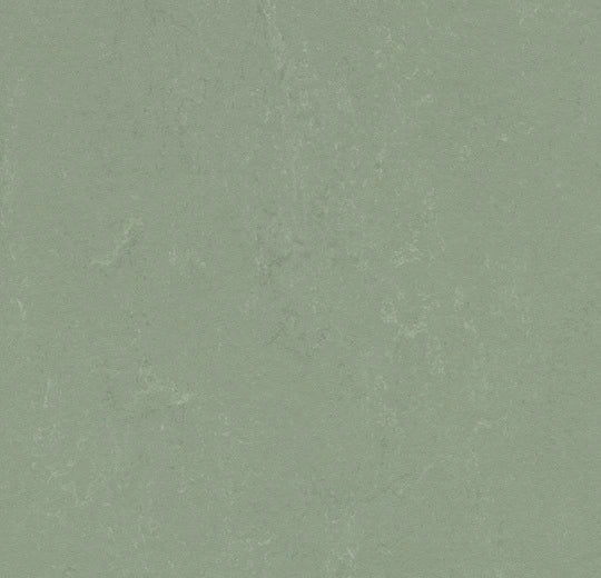 Forbo Marmoleum Concrete 3750 pine forest