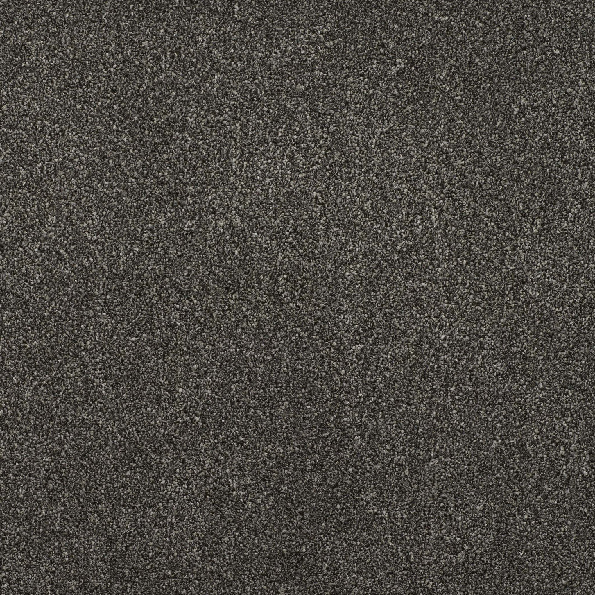 Balta Addiction Lead Carpet