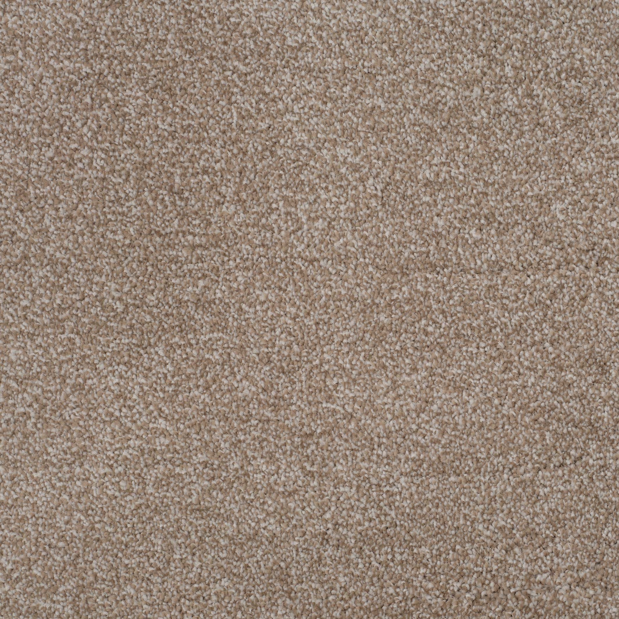 Balta Ankara pebble Carpet