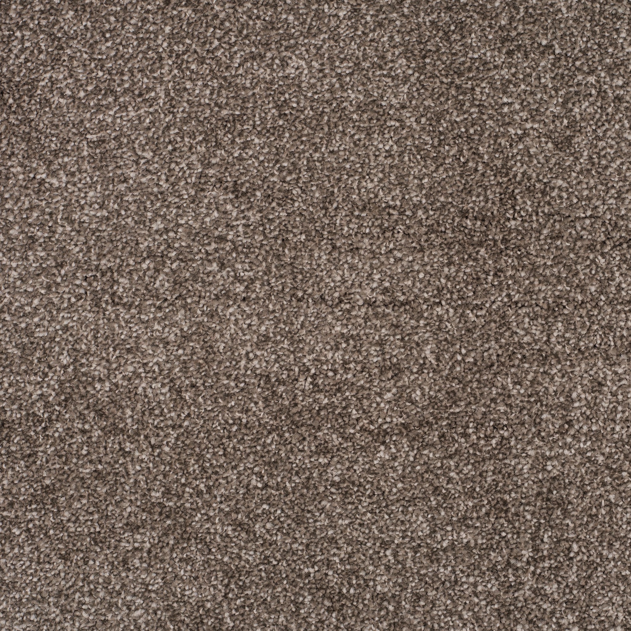 Balta Ankara irish cream Carpet