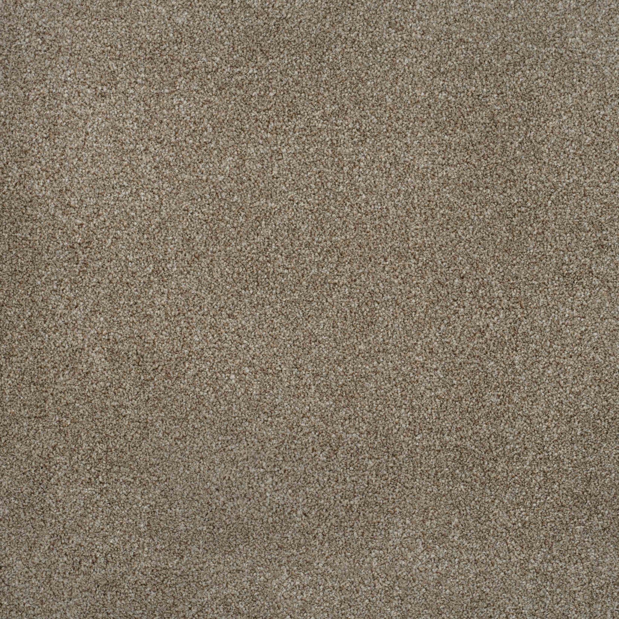 Balta Delight rustic brown Carpet