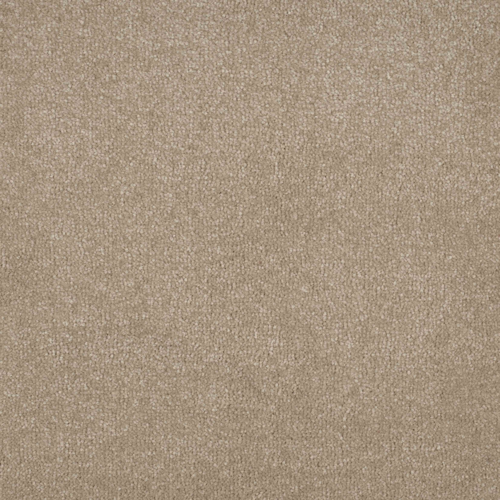 Balta Essence macadamia Carpet
