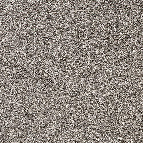 Balta kesari persian cat Carpet