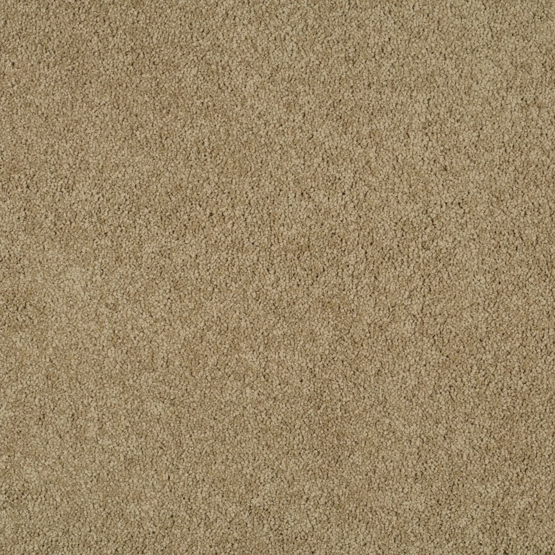 Balta Magical feeling camel coat Carpet