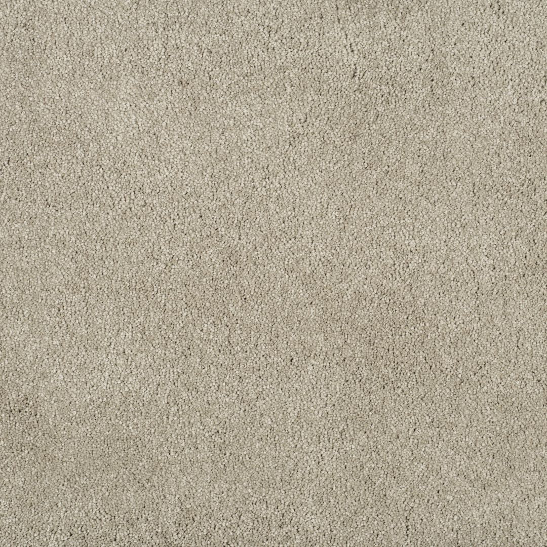 Balta Magical feeling delicate touch Carpet