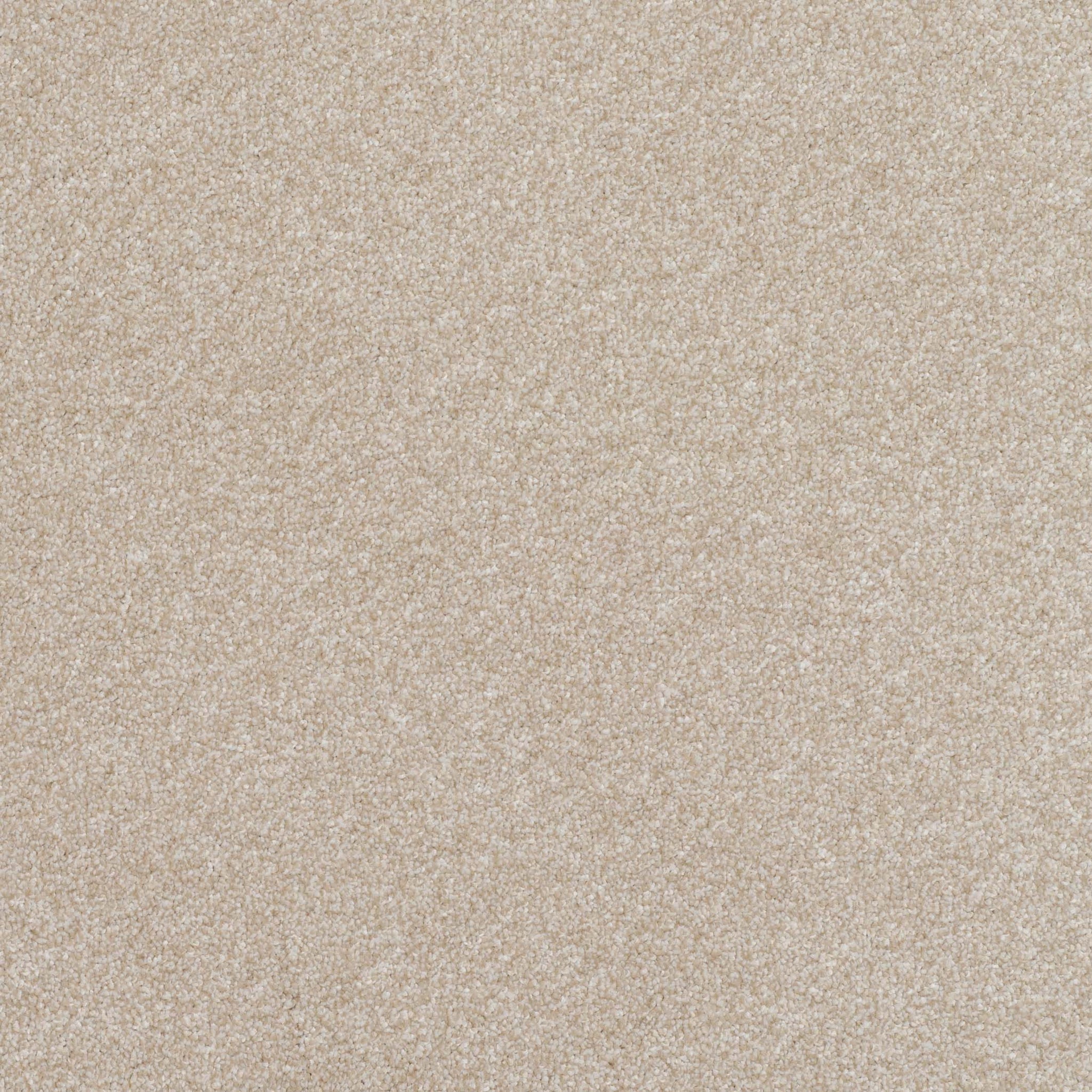 Balta Pinnacle toasted marshmallow Carpet