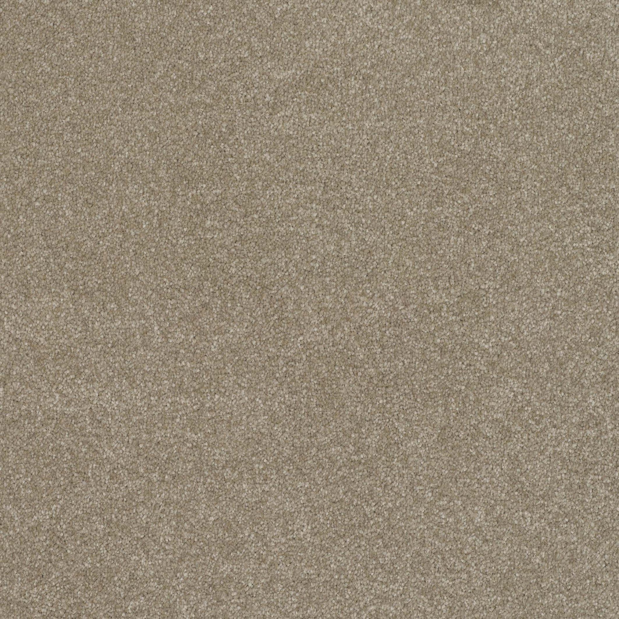 Balta Pinnacle driftwood Carpet