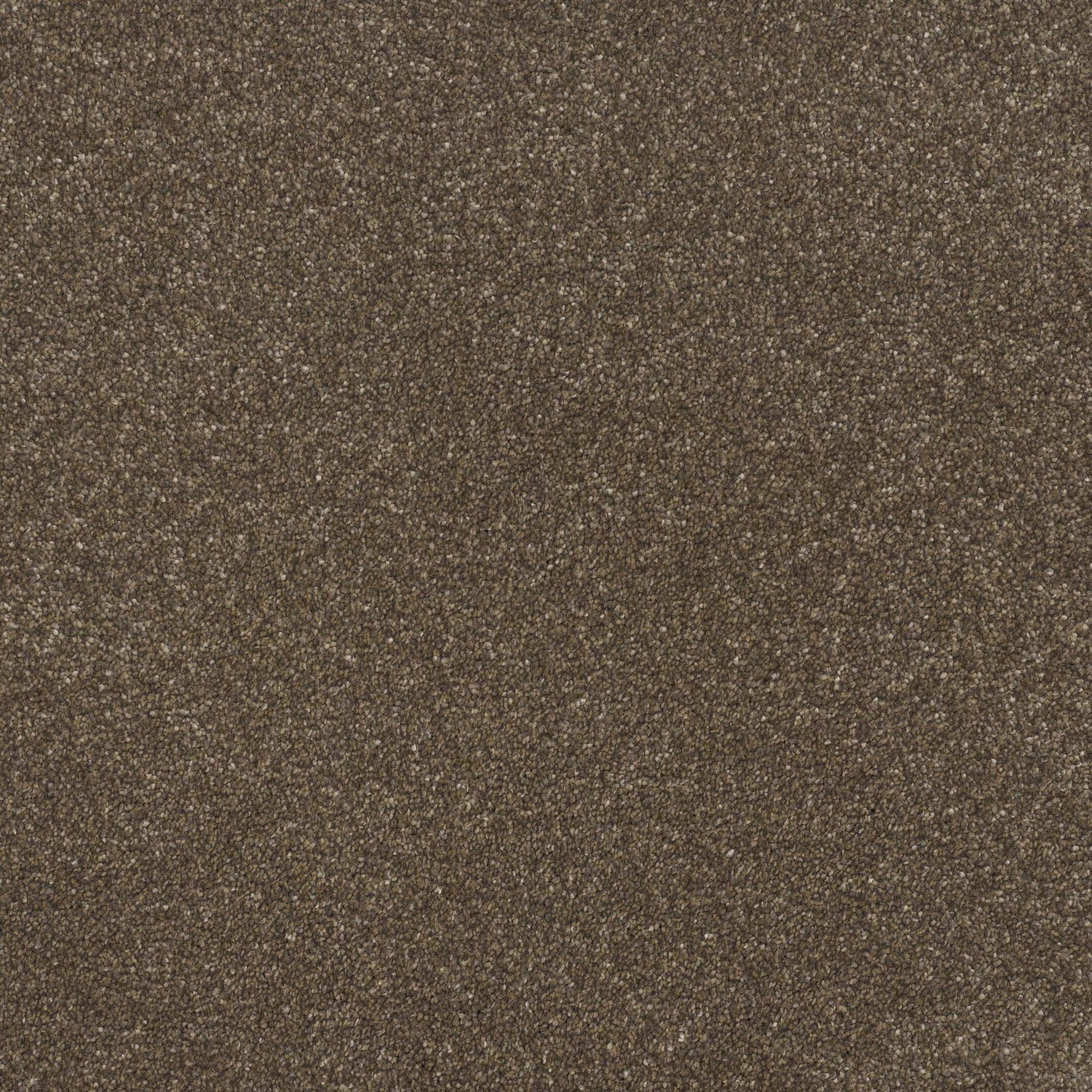 Balta Pinnacle bear cub Carpet