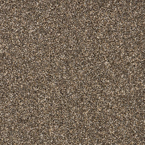 Balta heritage luxury & stripes coffee Carpet