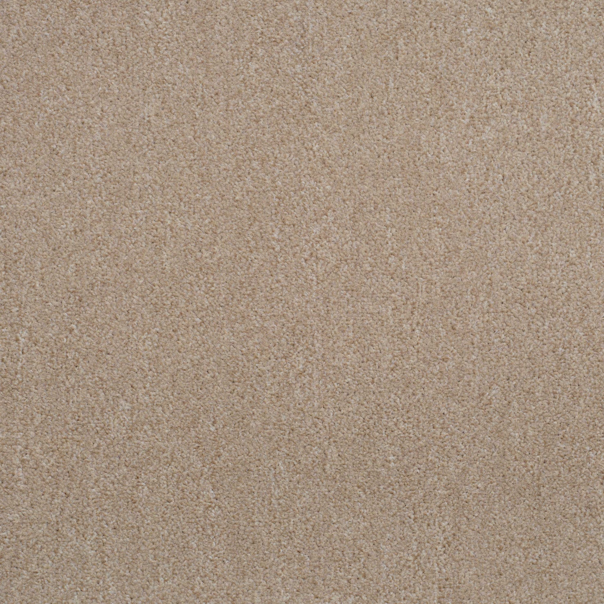Balta Supertwist 65 Carpet