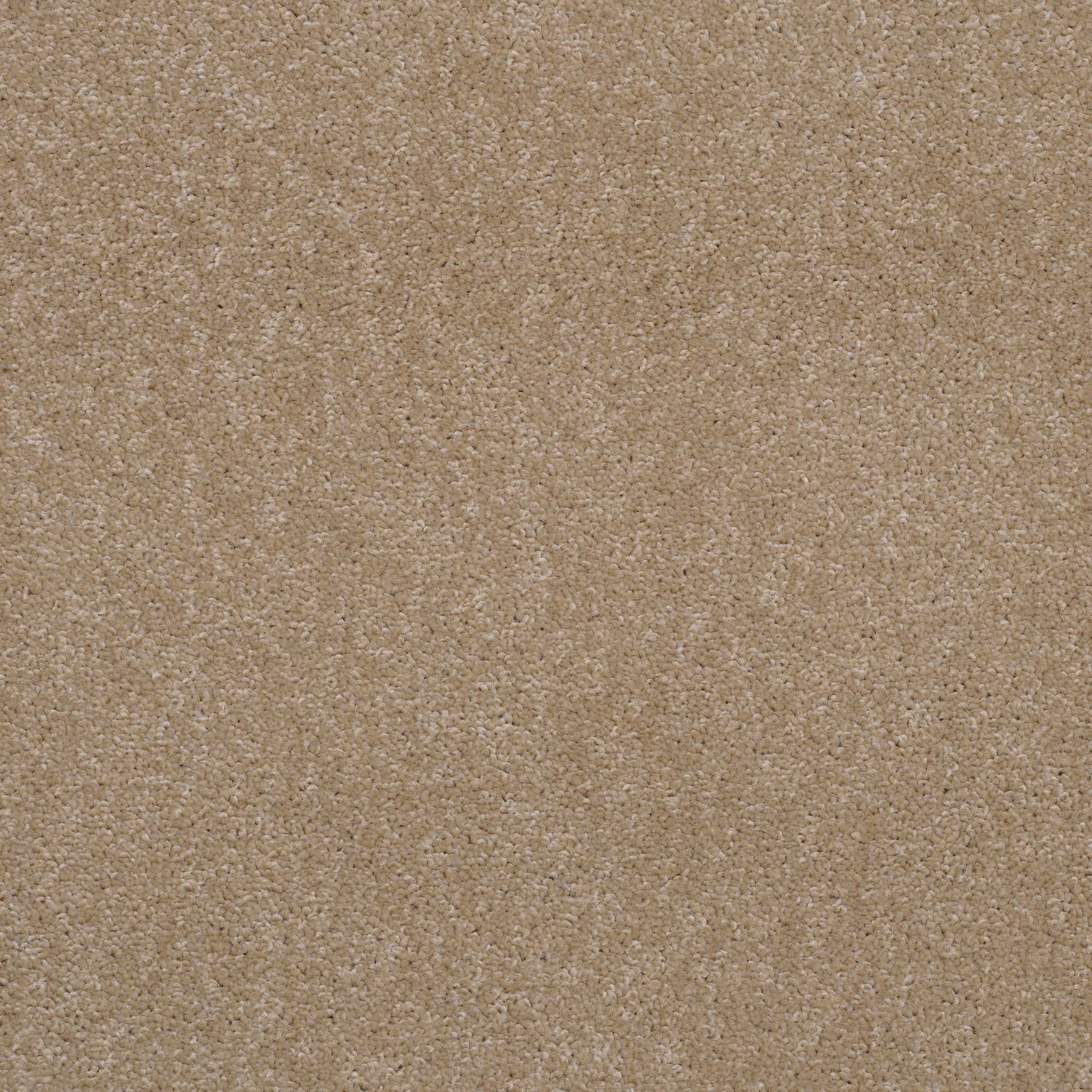 Balta Supertwist 645 Carpet
