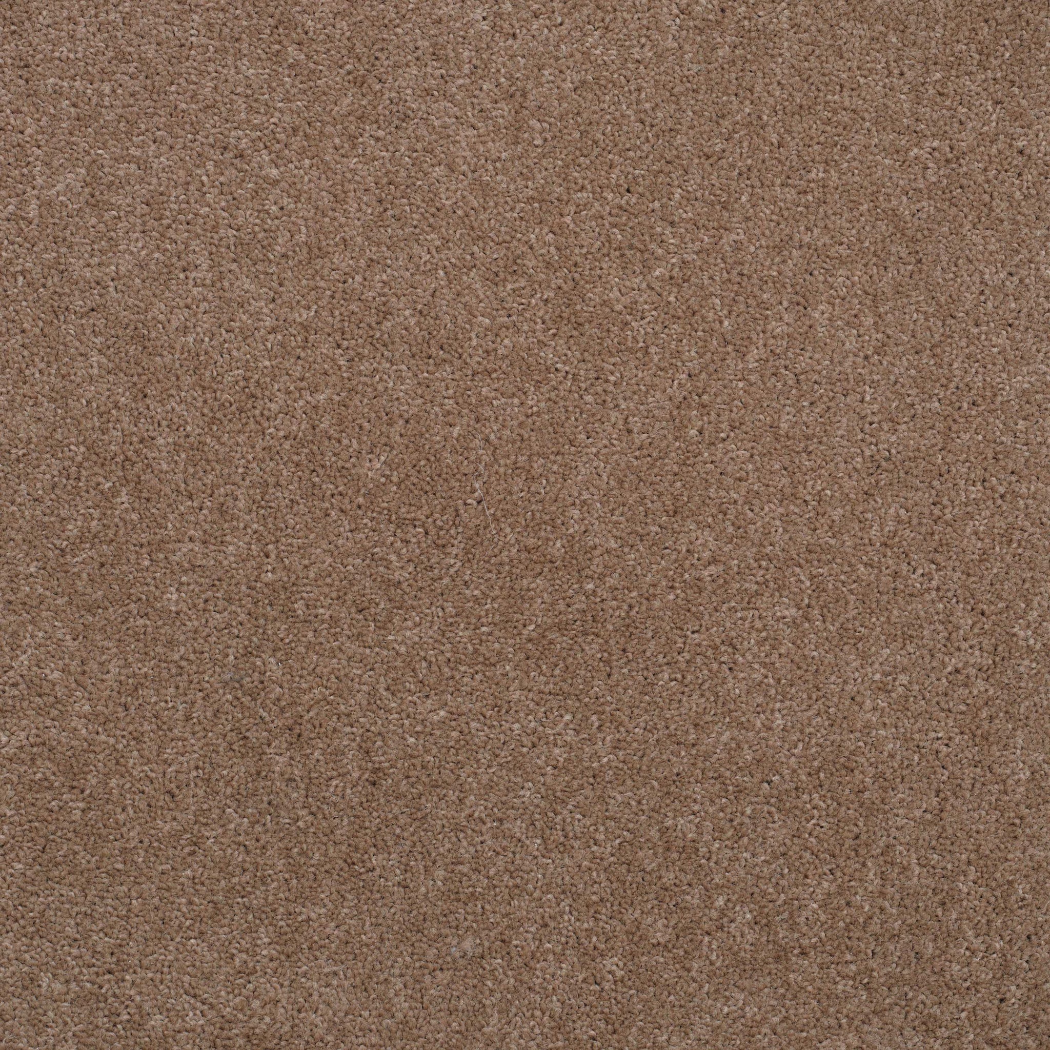 Balta Supertwist 810 Carpet