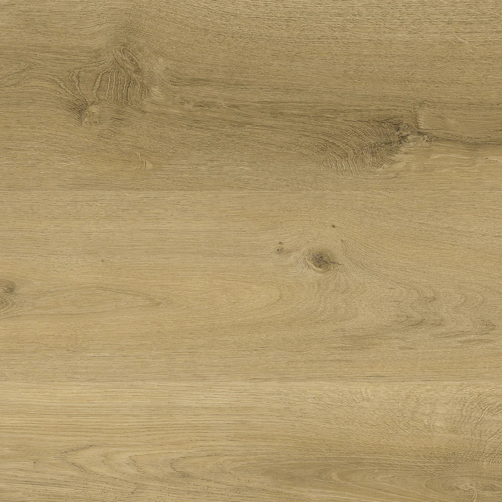 Plusfloor Luxury Glue Down Vinyl Flooring Composition Cool Linen