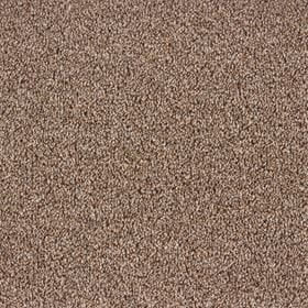 Associated Weavers Dublin Twist 42 - 314 Mink Carpet