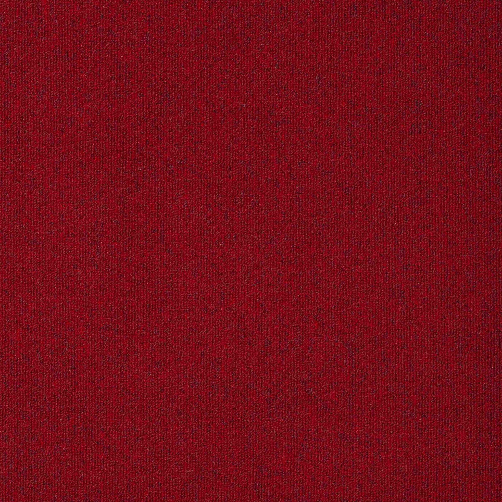 Paragon Diversity Blazer 210 Loop Pile Carpet Tiles