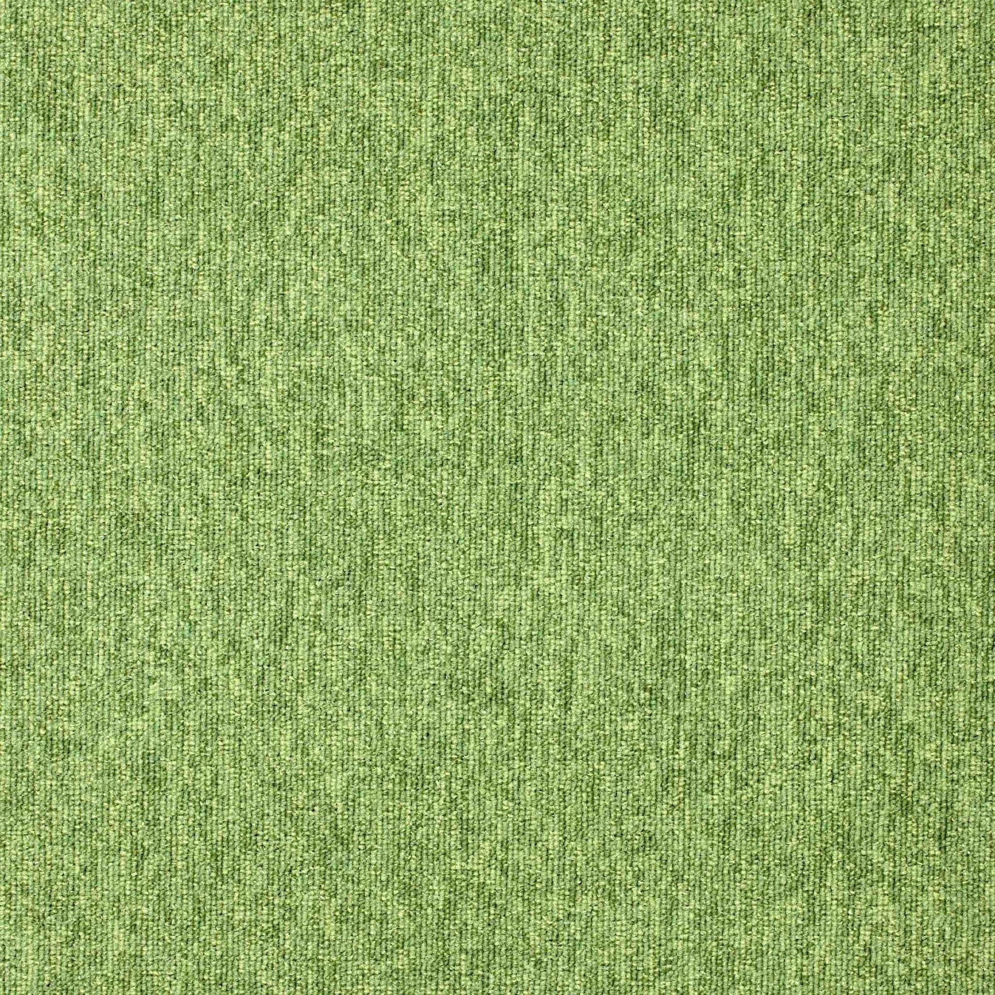 Paragon Diversity Grasshopper Loop Pile Carpet Tiles