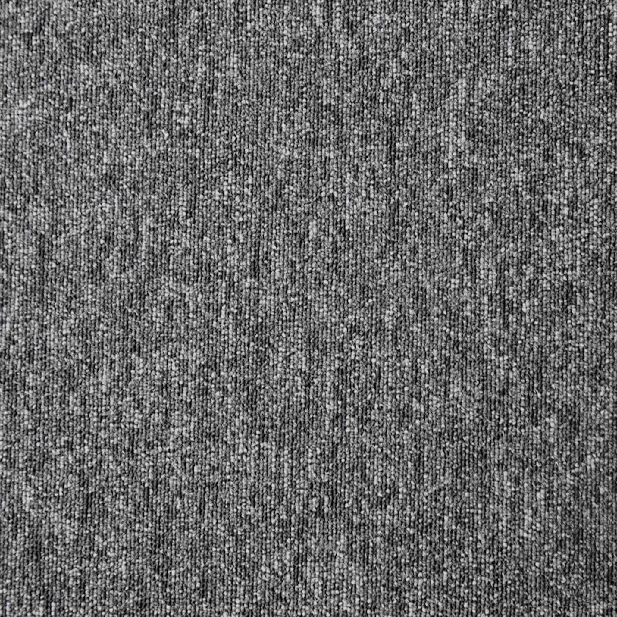 Paragon Diversity Lupus Grey 811 Loop Pile Carpet Tiles