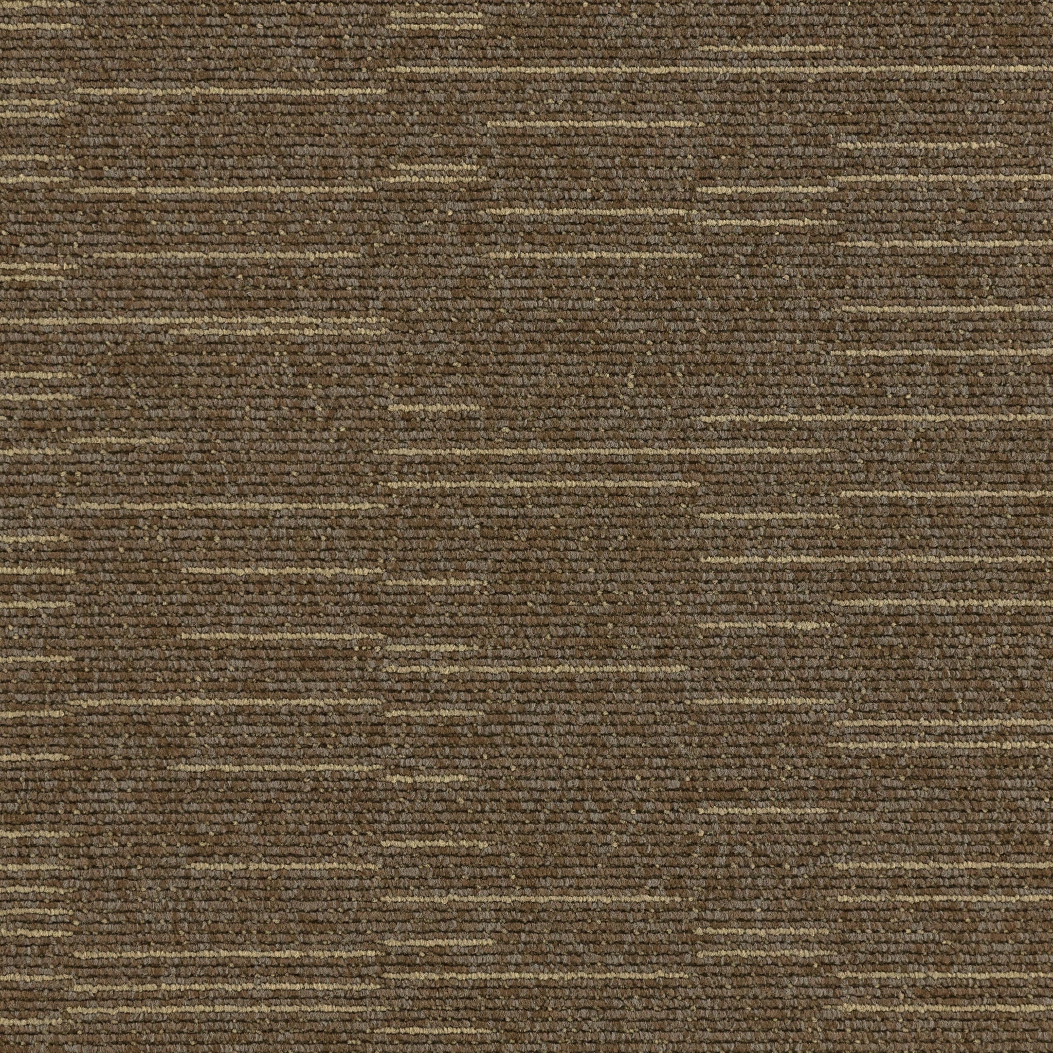 Paragon Elemental Collection – Cloudburst Starfield Shower, 102194 Carpet Tile