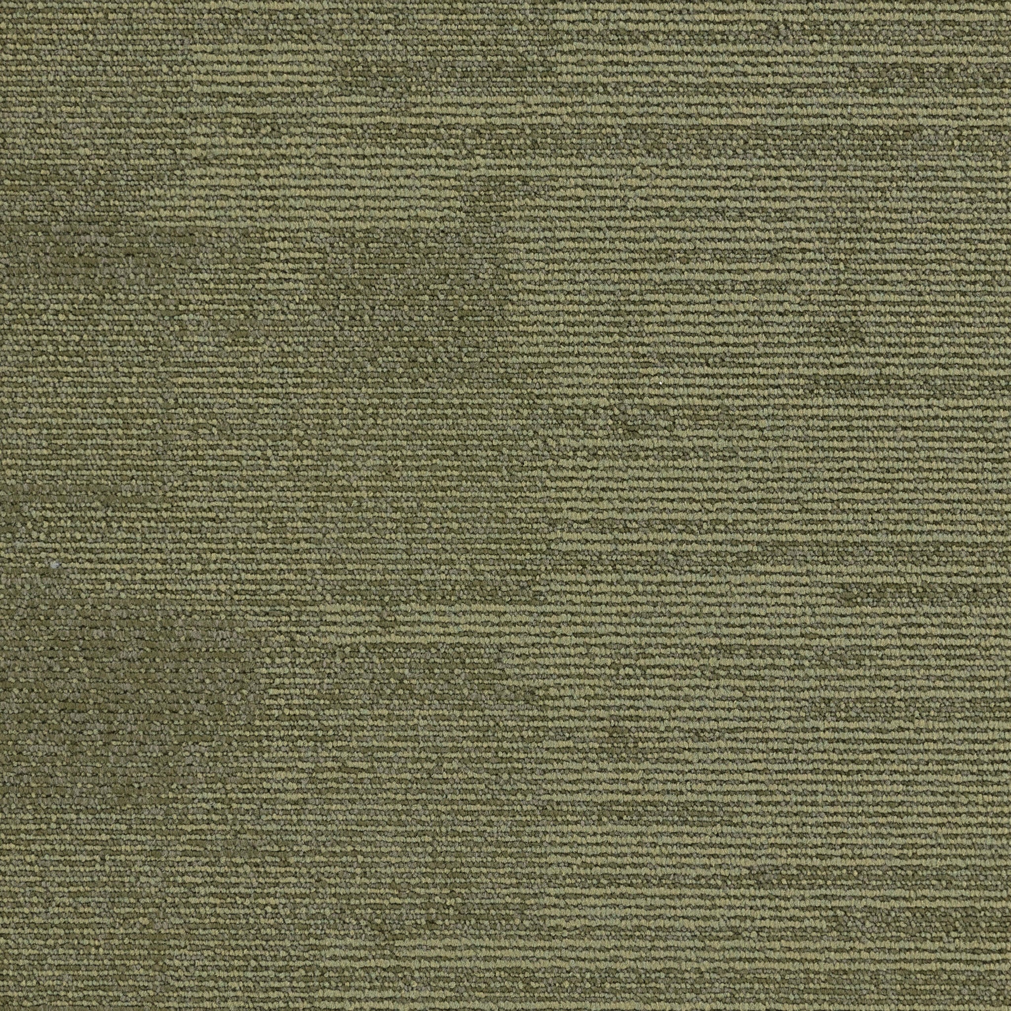 Paragon Elemental Collection – Millstone Gritstone Moss, 501241 Carpet Tile