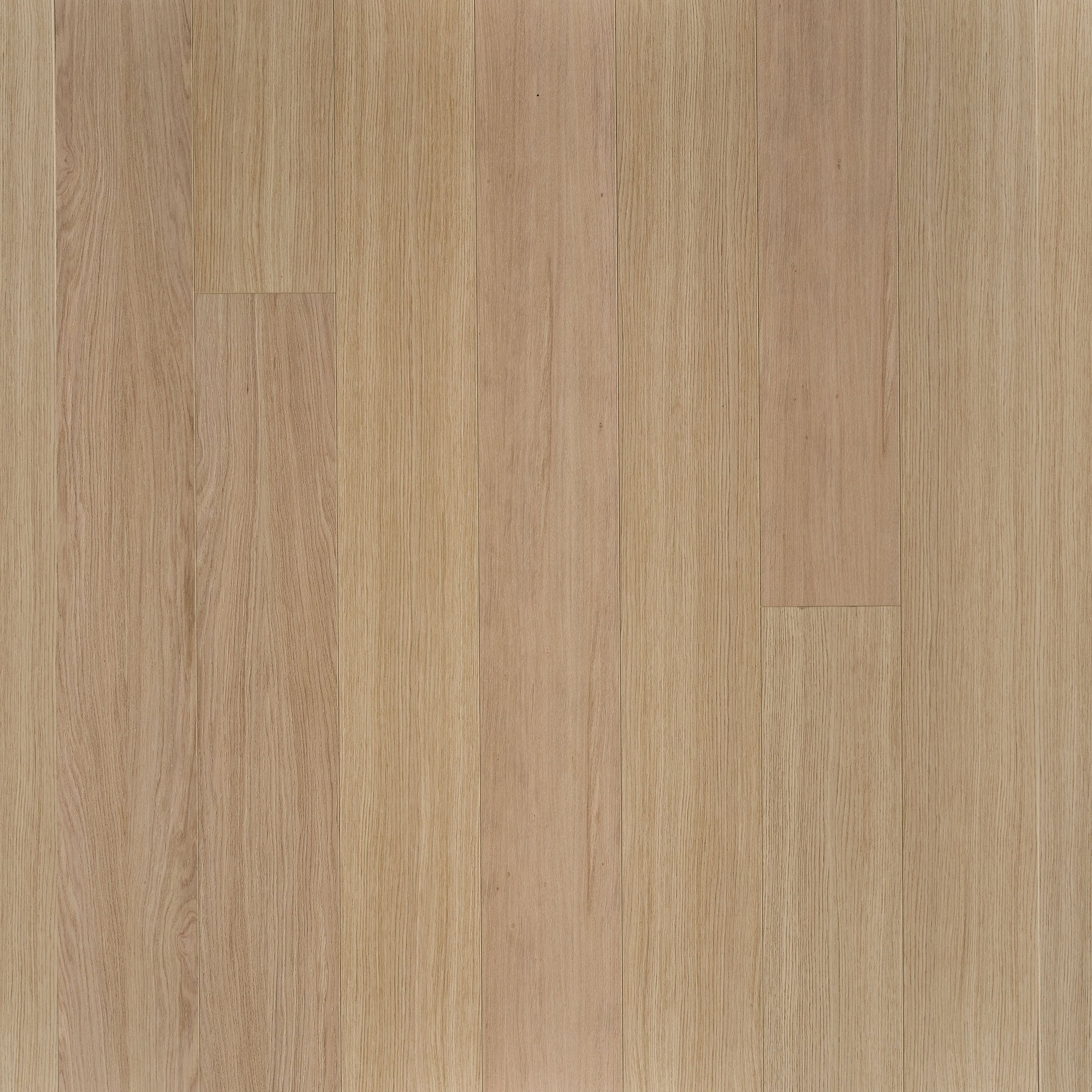 V4 Wooden Flooring Linia Eco Sustainably Made Engineered Oak Floors Sp ...