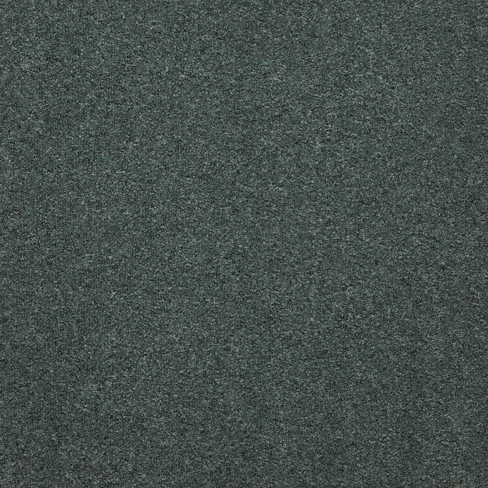 The Floor Hub Carpet Tiles - Dahlia Cut Moonmist Buy in the Uk