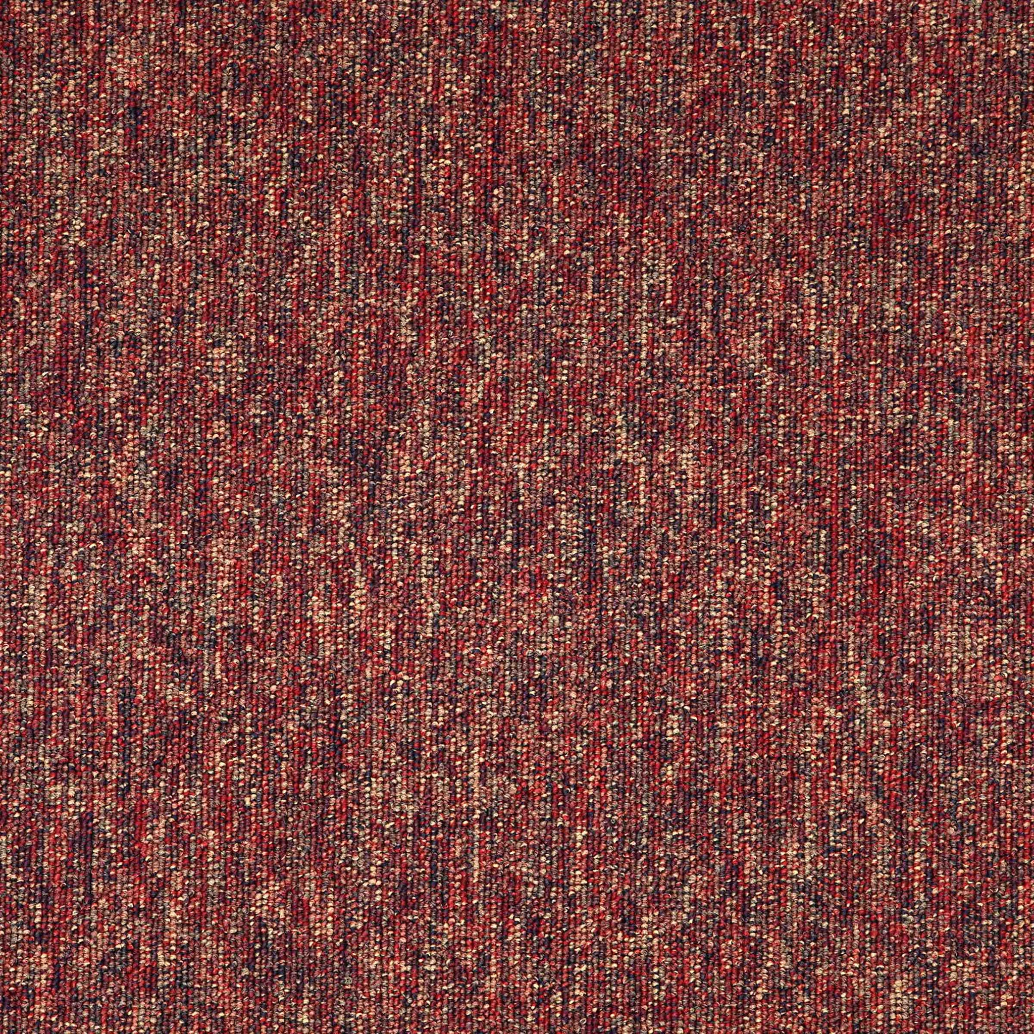 Paragon Macaw Paprika 459M carpet tiles