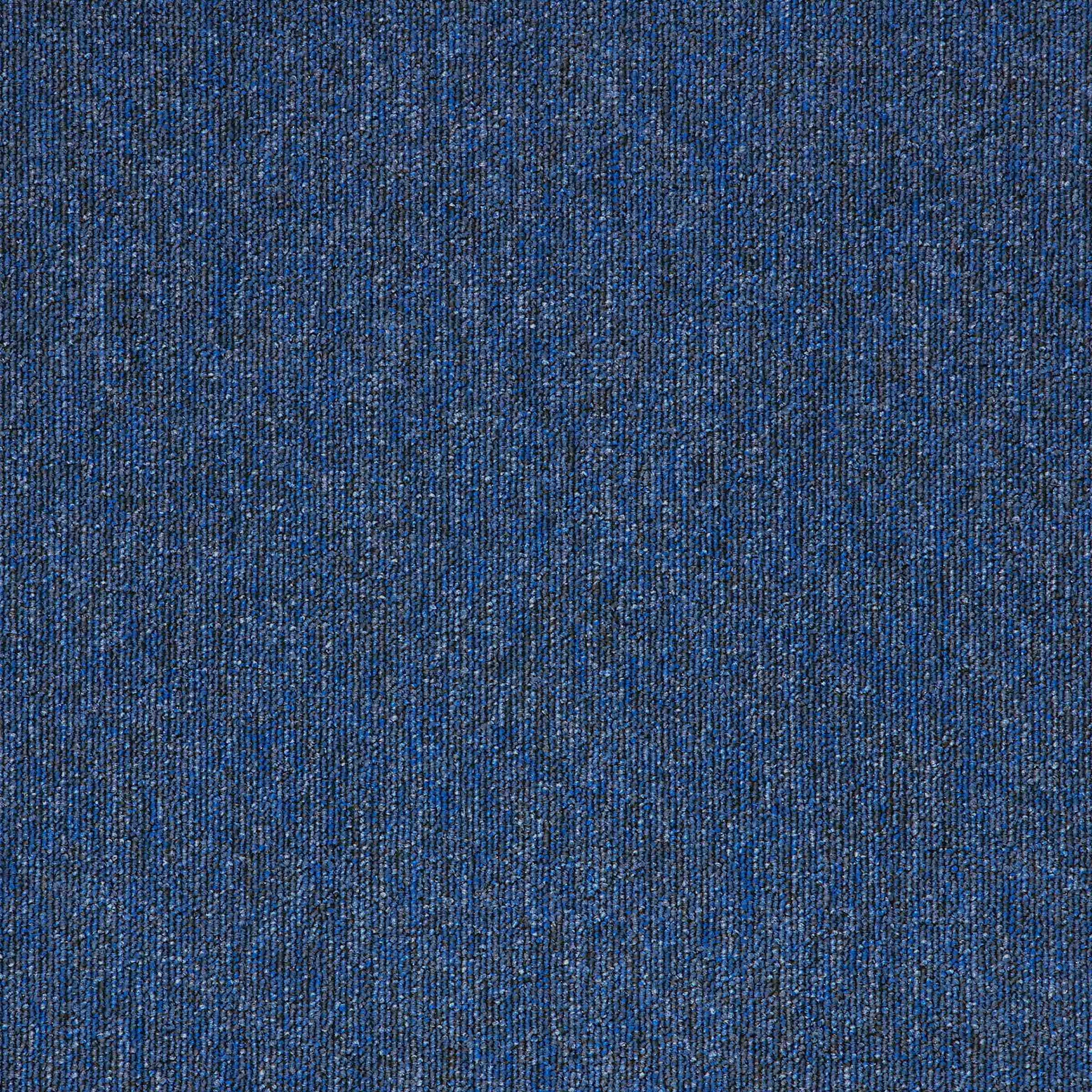 Paragon Macaw Sapphire 501M carpet tiles