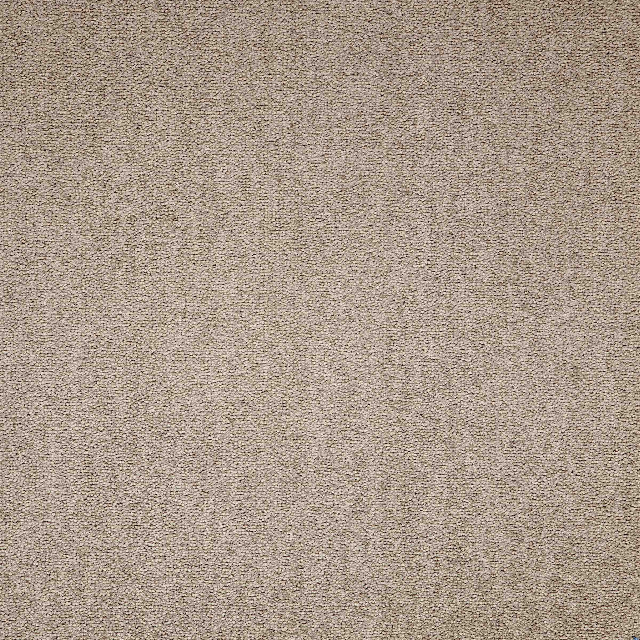 Paragon Maestro Bracken Salts 817 carpet tiles