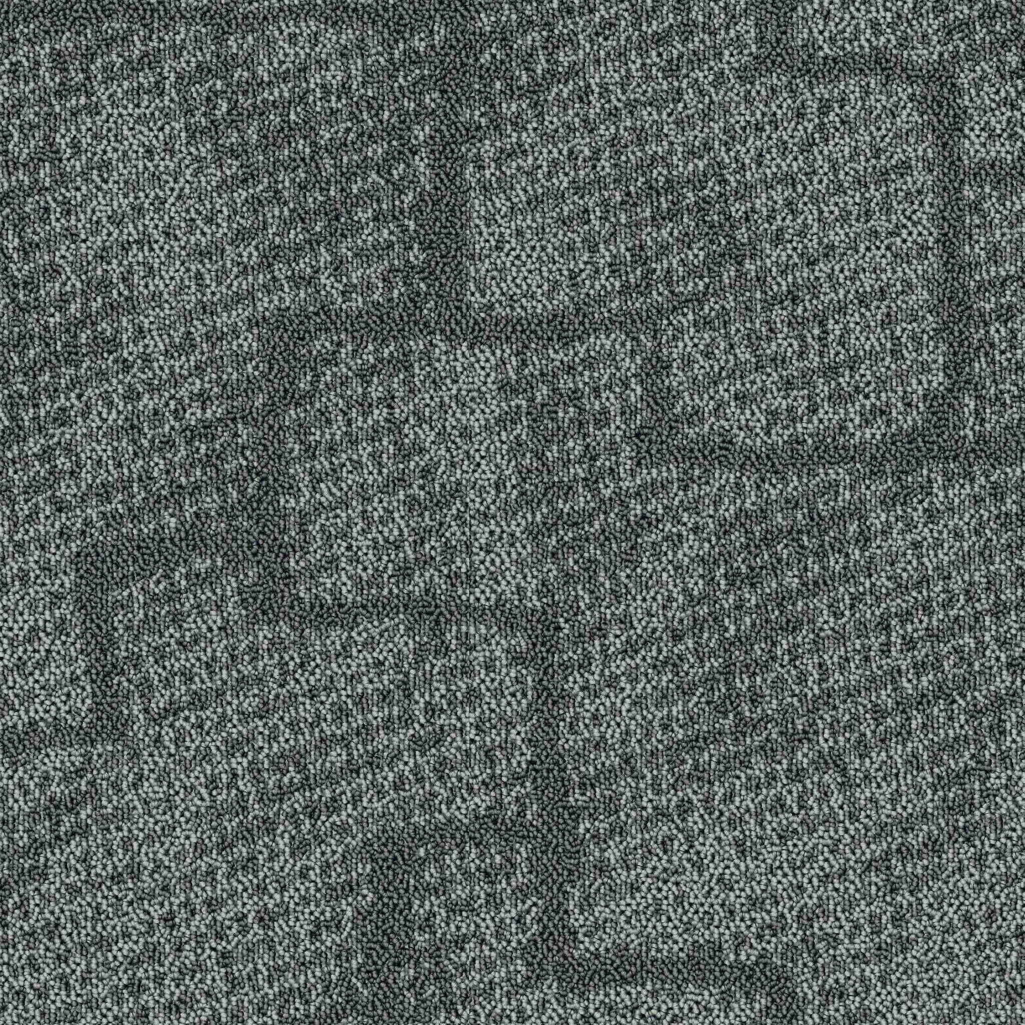 Paragon Inspiration Collection Greda Obsidian Flash 8775L carpet tiles