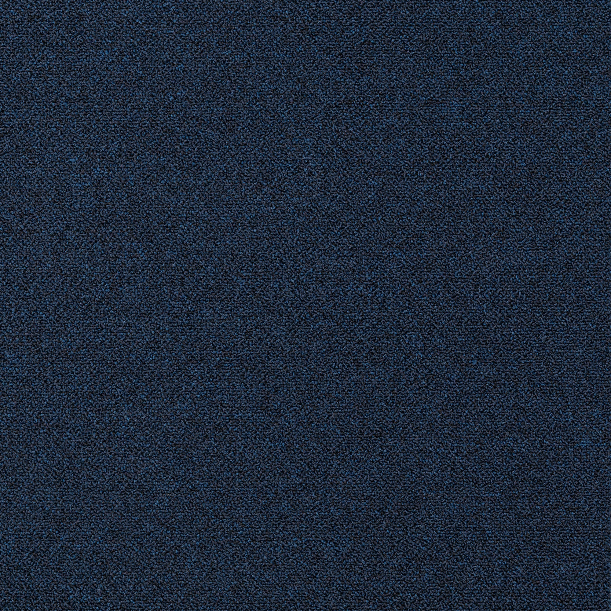 Plusfloor Rekka Navy Blue carpet tiles for offices 100% Nylon