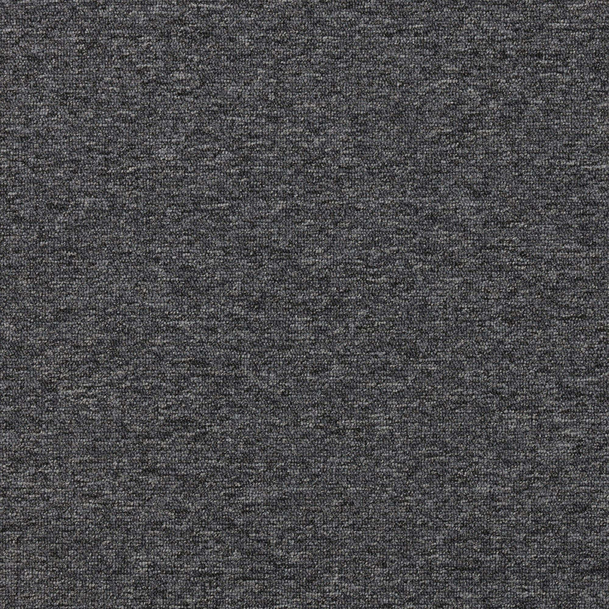 Plusfloor New Viilea Pebble Grey carpet tiles for offices 100% Nylon