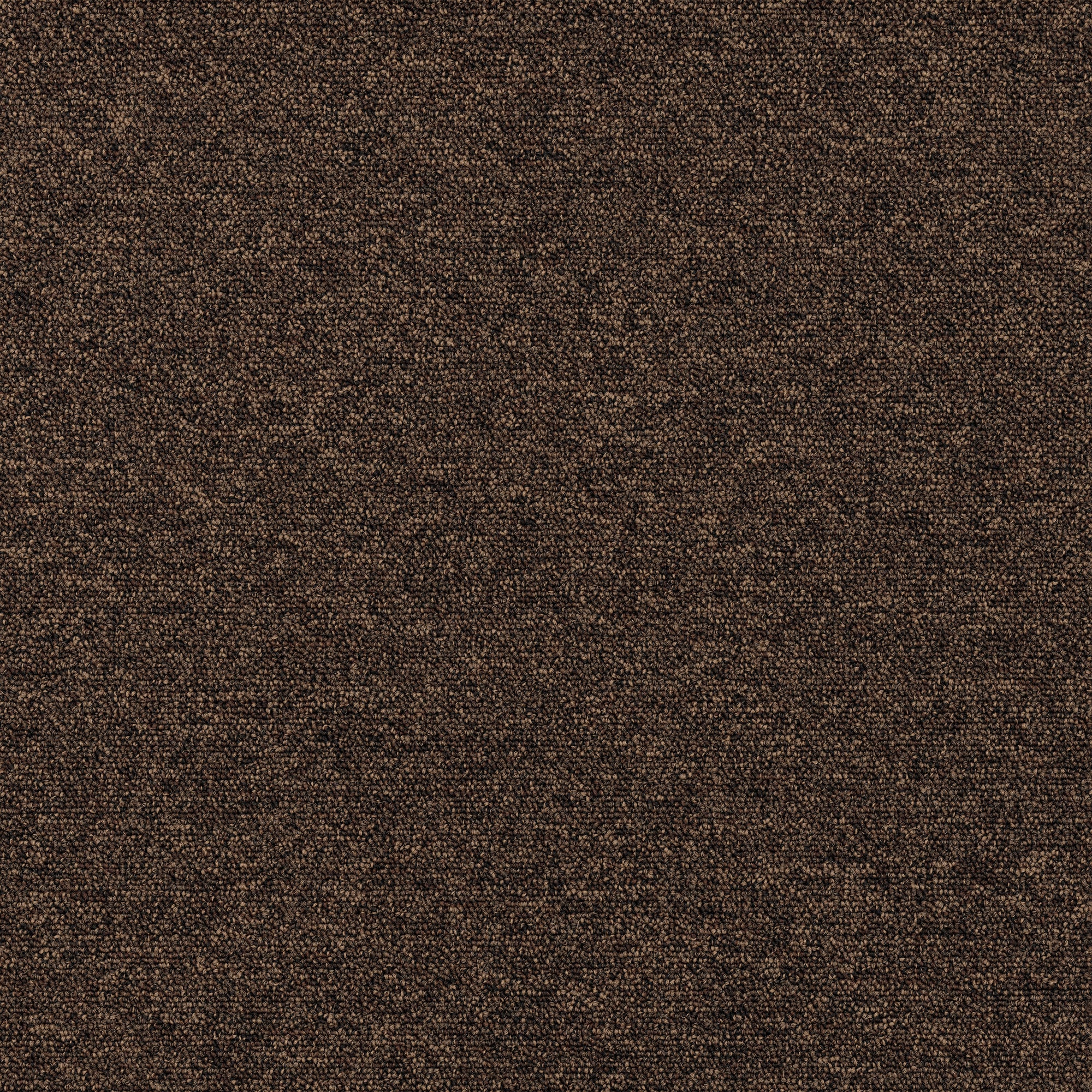 Plusfloor New Viilea Earth Brown carpet tiles for offices 100% Nylon