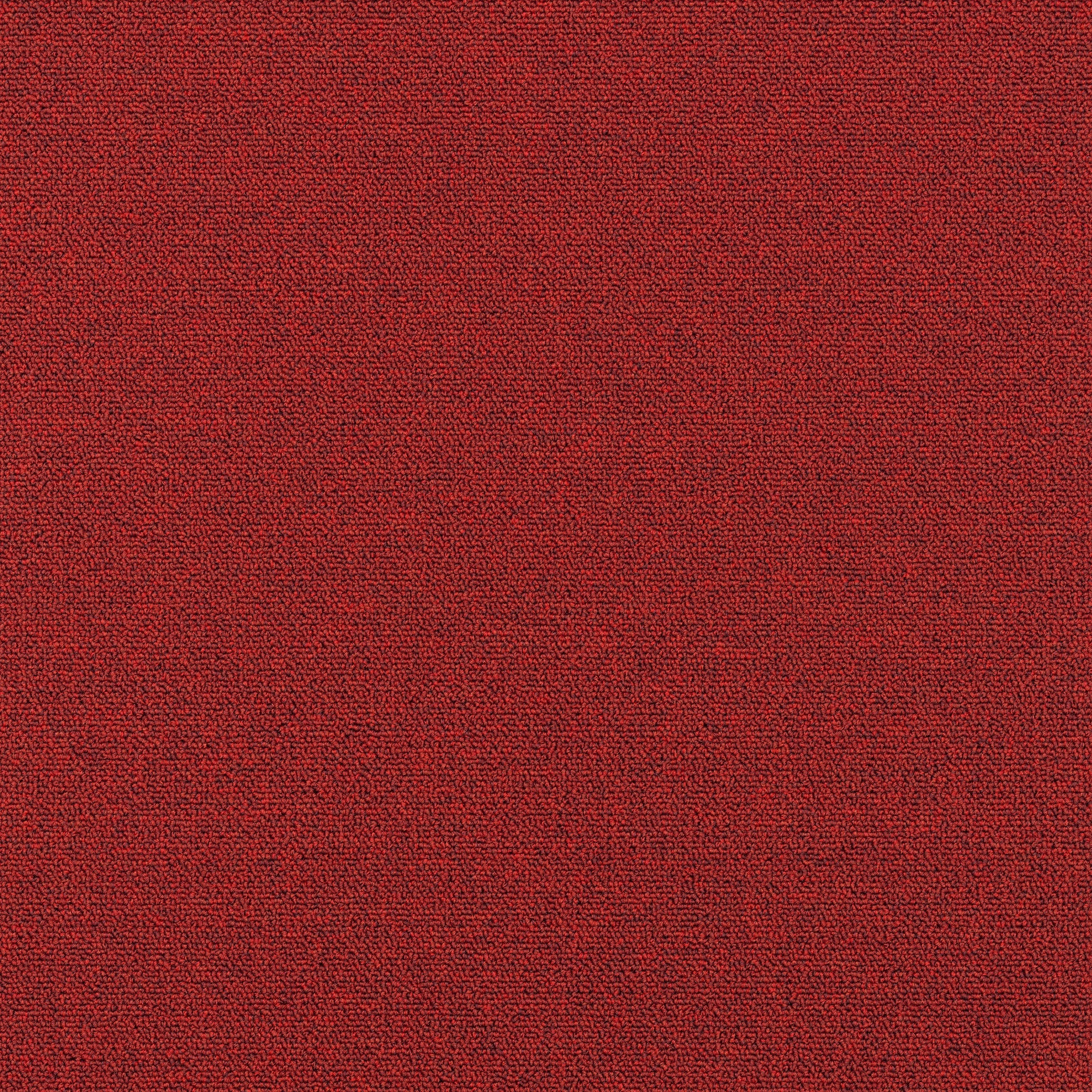 Plusfloor New Viilea Summer Red carpet tiles for offices 100% Nylon