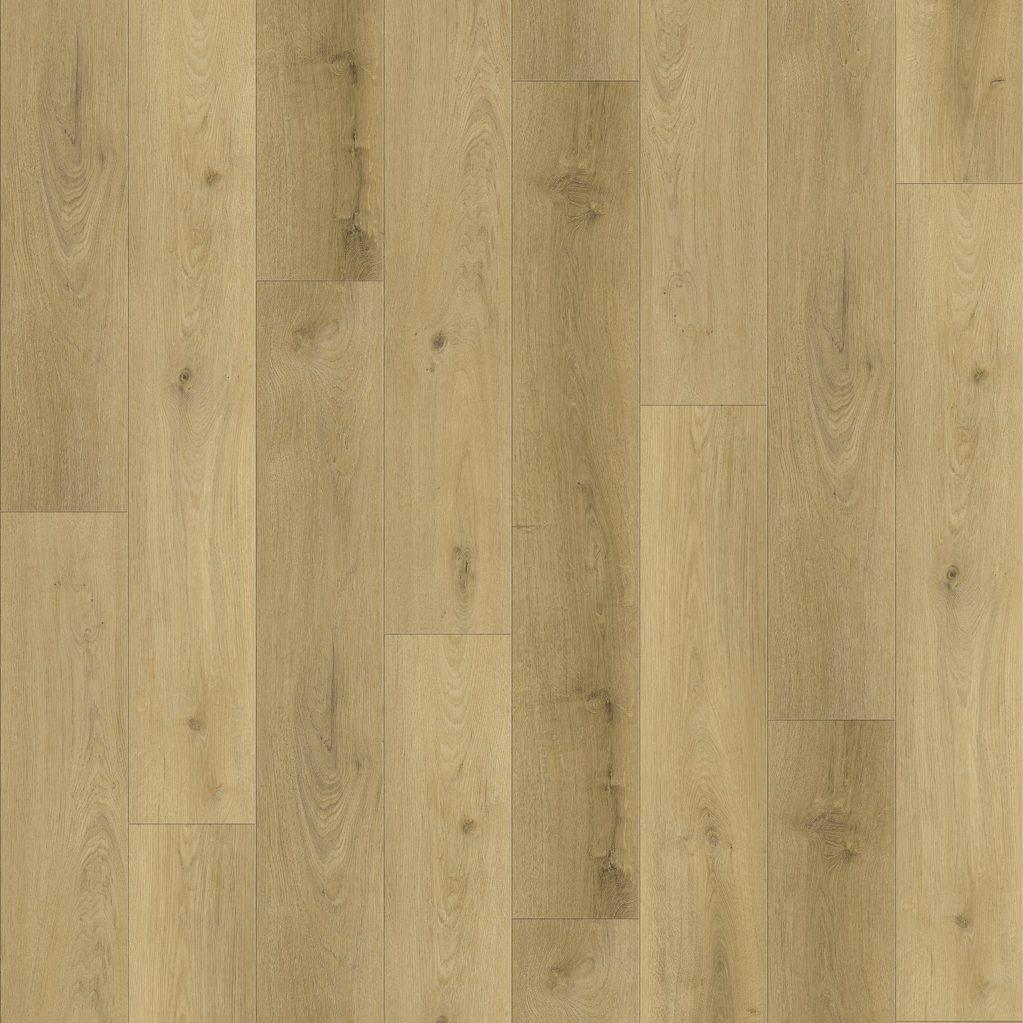 Plusfloor Luxury Glue Down Vinyl Flooring Vero Plank Milan