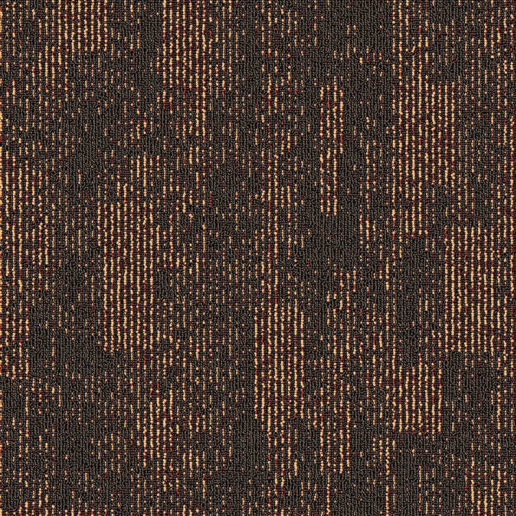 Paragon Inspiration Collection Phase Navajo Brown 3627B carpet tiles