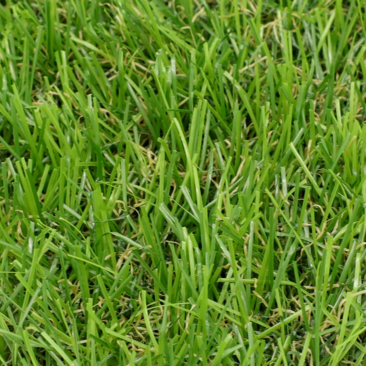 Likewise Floors Artificial Grass super 30mm