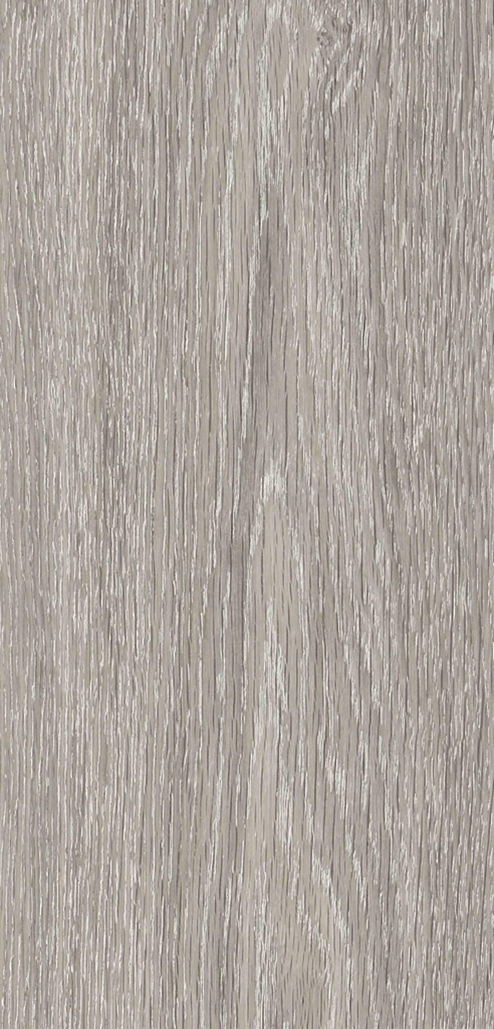 Paragon Luxury Commercial Vinyl – Rappórt French Grey Elm, 2895 Wood Effect