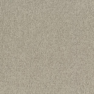 Tarkett Desso LRV Palatino Ecobase B359 1321 carpet tile