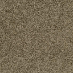 Tarkett Desso Palatino A072 2929 carpet tile