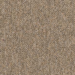 Tarkett Desso Stratos 570 AB31 2916 carpet tile