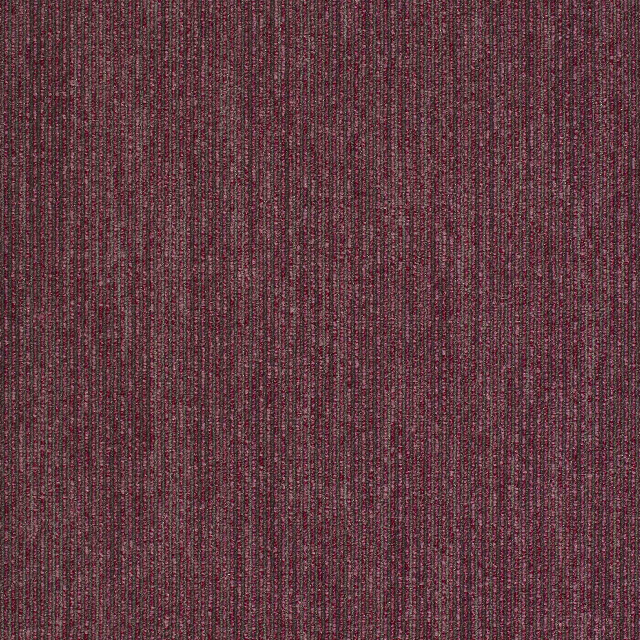 Paragon Workspace Linear Westow Park Plum 3016 carpet tiles