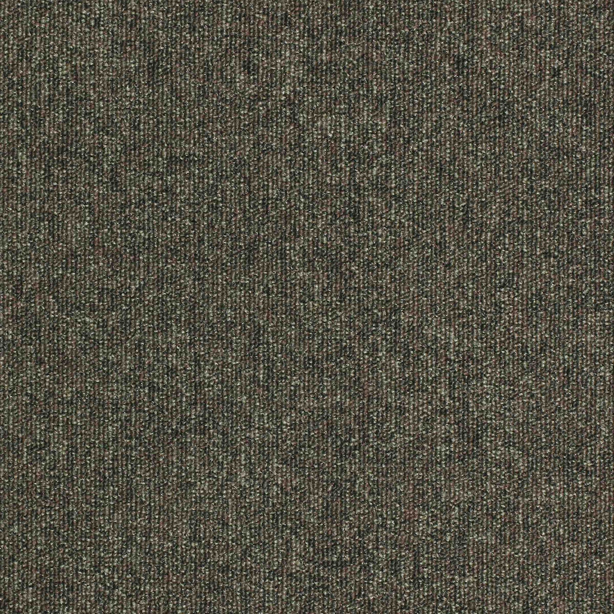 Paragon Workspace Loop Pampas 5157 carpet tiles