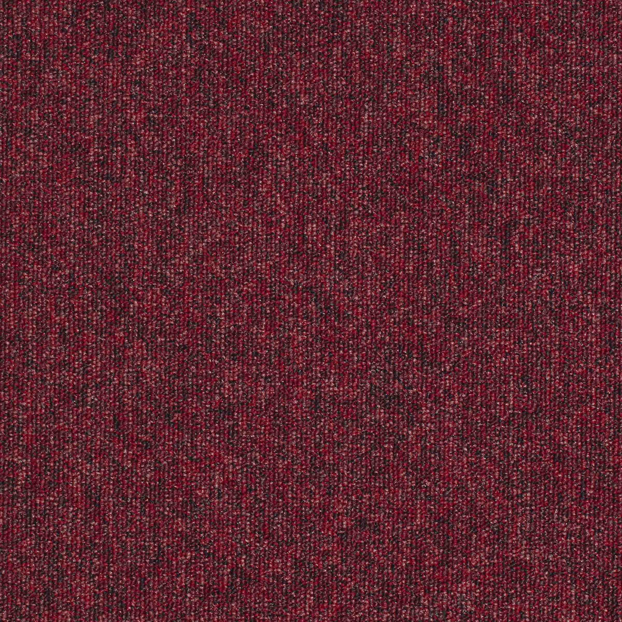 Paragon Workspace Loop Rose 2152 carpet tiles