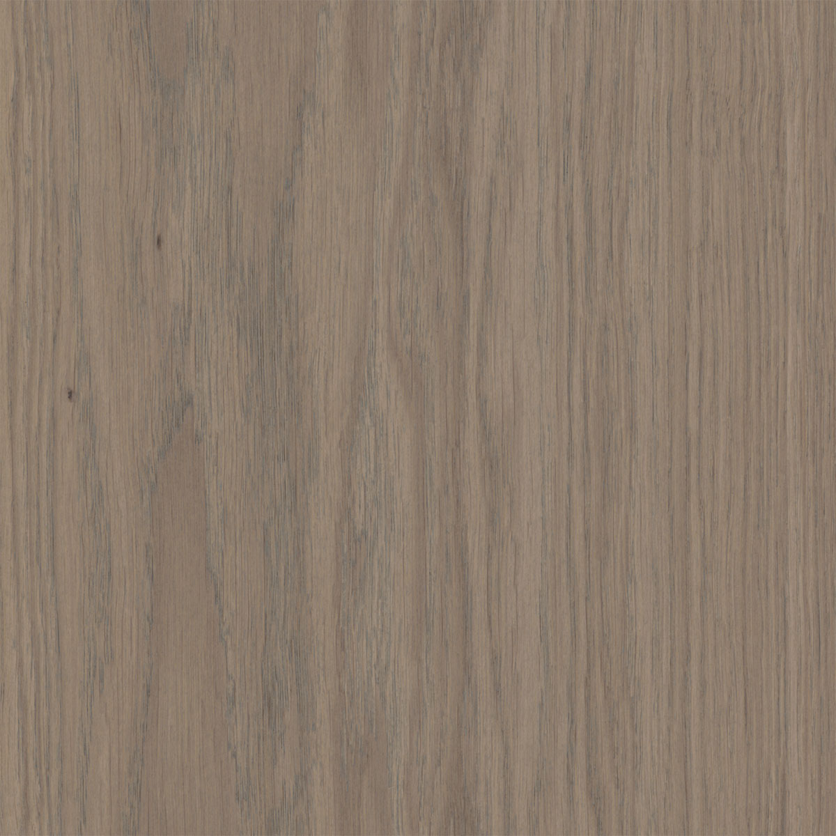 V4 Wood Flooring VL103 Earth Grey Oak Bjelin Hardened Wood
