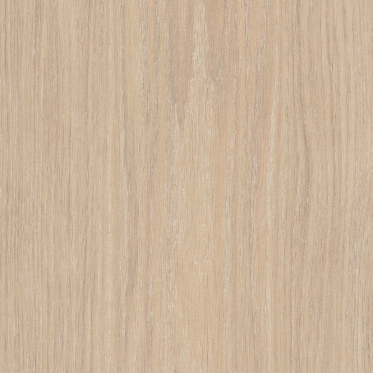 V4 Wood Flooring VL104 Powder White Oak Bjelin Hardened Wood