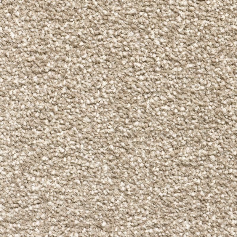 Every Room Alaska Twist Beige Carpet