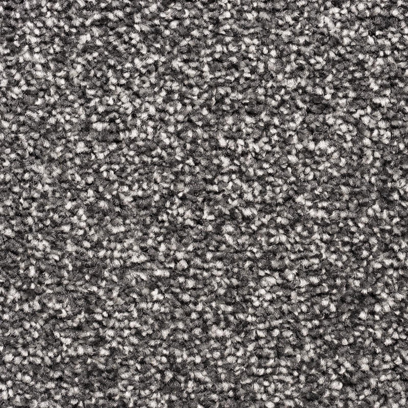 Every Room Alaska Twist Carbon Carpet