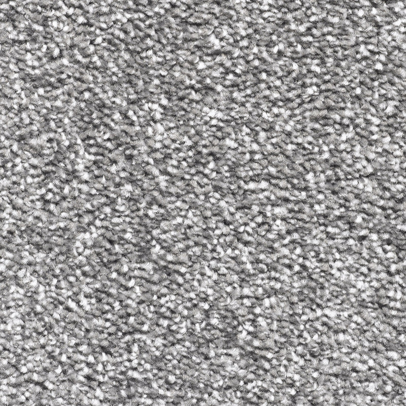 Every Room Alaska Twist Steel Carpet