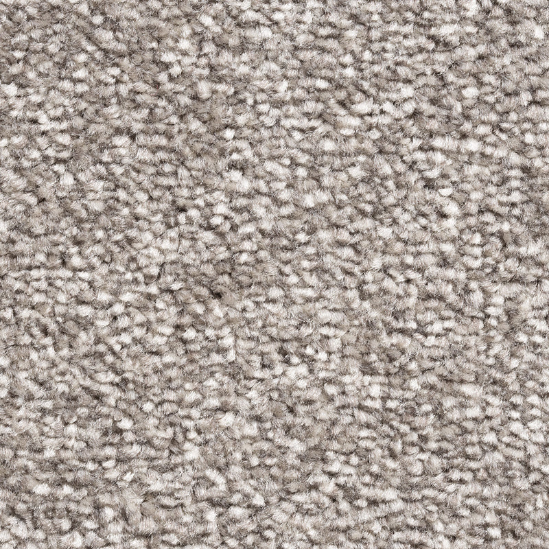 Every Room Alaska Twist Taupe Carpet