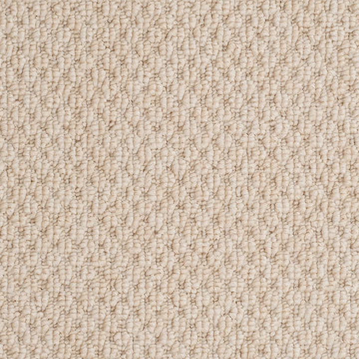 Fenston Carter Designer Style 100% polypropylene carpet B100 Champagne